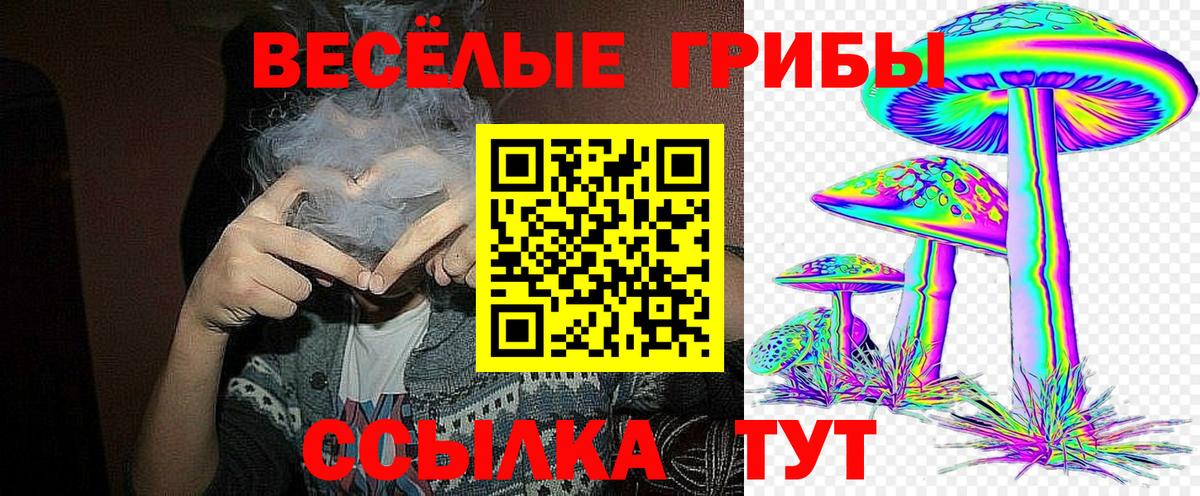 Галлюциногенные грибы мицелий Белая Калитва